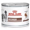 Royal Canin Veterinary Diet Recovery puszka 195g
