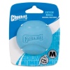 Chuckit! Fetch Ball Medium [194002]