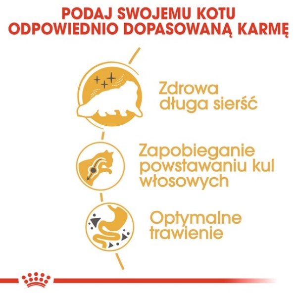 Royal Canin Persian Adult karma sucha dla kotów dorosłych rasy perskiej 400g - obrazek 5