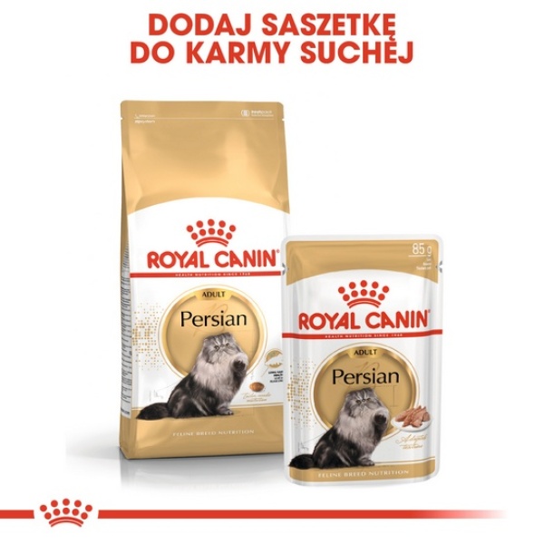 Royal Canin Persian Adult karma sucha dla kotów dorosłych rasy perskiej 400g - obrazek 6