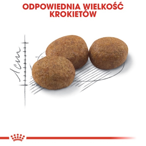 Royal Canin Sterilised karma sucha dla kotów dorosłych, sterylizowanych 10kg - obrazek 6