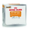 Royal Canin Nutritional Supplement Energy zdrowy przysmak dla psów dorosłych, aktywnych 50g - obrazek 3