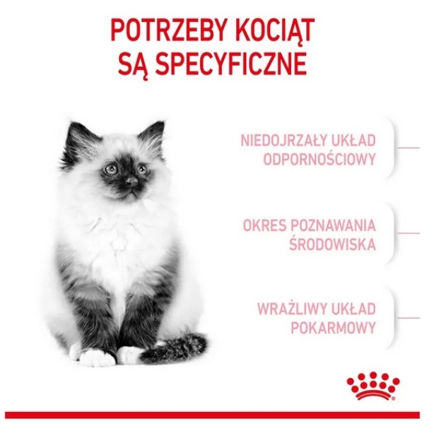 Royal Canin Kitten karma sucha dla kociąt od 4 do 12 miesiąca życia 2kg - obrazek 4