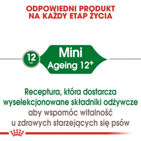 Royal Canin Mini Ageing 12+ karma sucha dla psów dojrzałych po 12 roku życia, ras małych 1,5kg - obrazek 5