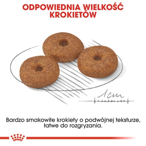 Royal Canin Mini Ageing 12+ karma sucha dla psów dojrzałych po 12 roku życia, ras małych 1,5kg - obrazek 7