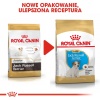 Royal Canin Jack Russell Terrier Puppy karma sucha dla szczeniąt do 10 miesiąca, rasy jack russell terrier 1,5kg - obrazek 4