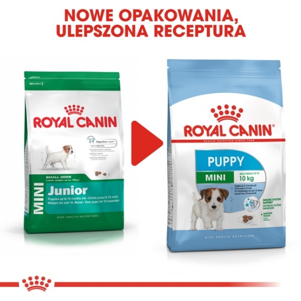 Royal Canin Mini Puppy karma sucha dla szczeniąt, od 2 do 10 miesiąca życia, ras małych 800g - obrazek 4