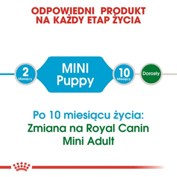 Royal Canin Mini Puppy karma sucha dla szczeniąt, od 2 do 10 miesiąca życia, ras małych 800g - obrazek 5