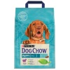 Purina Dog Chow Puppy Jagnięcina 2,5kg - obrazek 4
