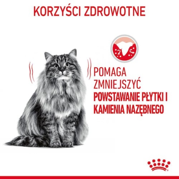 Royal Canin Dental Care karma sucha dla kotów dorosłych, redukująca odkładanie kamienia nazębnego 1,5kg - obrazek 4