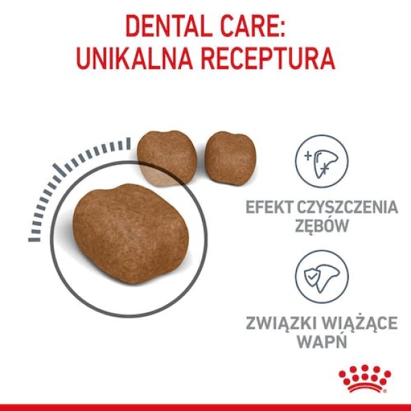 Royal Canin Dental Care karma sucha dla kotów dorosłych, redukująca odkładanie kamienia nazębnego 1,5kg - obrazek 5