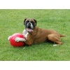 Boomer Ball M - 6" / 15cm czerwona - obrazek 5