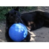 Boomer Ball XL - 10" / 25cm niebieska - obrazek 7