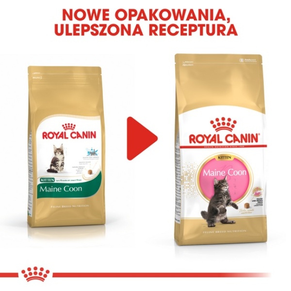 Royal Canin Maine Coon Kitten karma sucha dla kociąt, do 15 miesiąca, rasy maine coon 2kg - obrazek 4