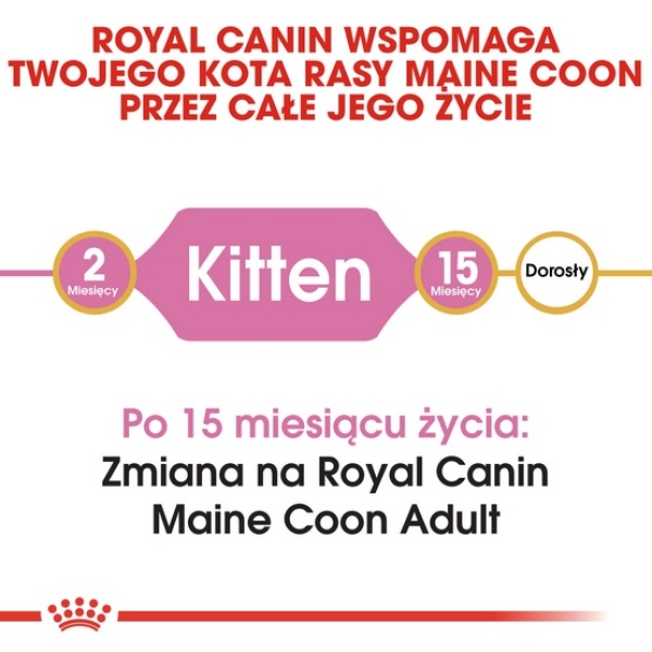 Royal Canin Maine Coon Kitten karma sucha dla kociąt, do 15 miesiąca, rasy maine coon 2kg - obrazek 5