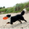 Trixie Frisbee Dysk z gumy TPR 22cm [TX-33506] - obrazek 5
