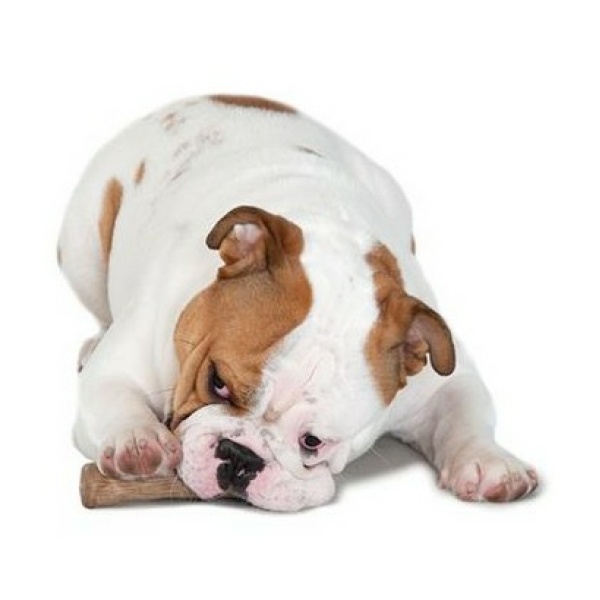 Petstages DogWood small patyk PS217 - obrazek 8