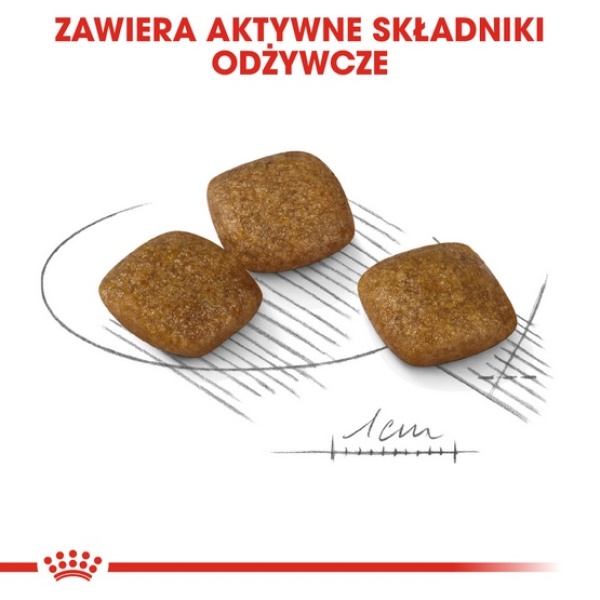 Royal Canin Mini Relax Care karma sucha dla psów dorosłych, ras małych, narażonych na działanie stresu 1kg - obrazek 5