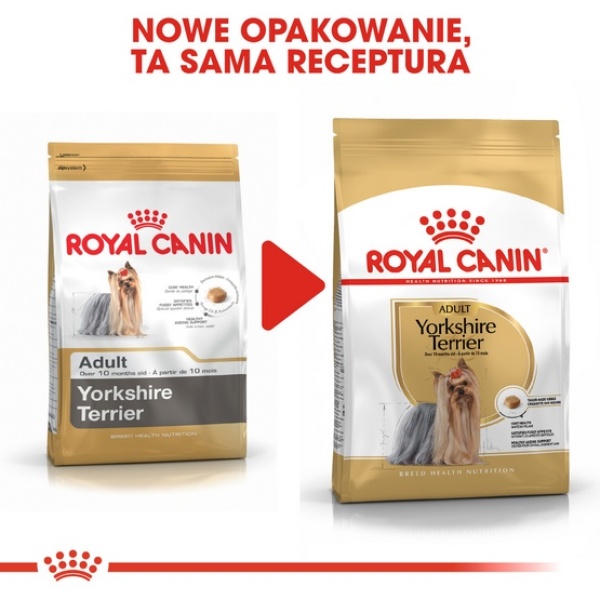 Royal Canin Yorkshire Terrier Adult karma sucha dla psów dorosłych rasy yorkshire terrier 3kg - obrazek 4