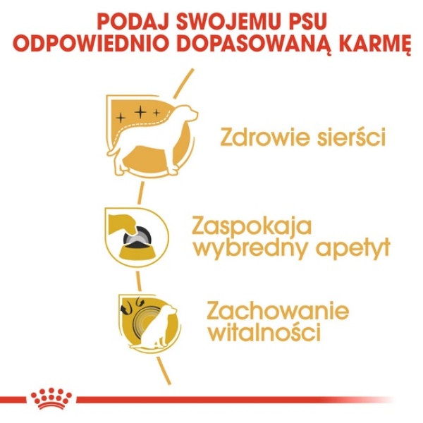 Royal Canin Yorkshire Terrier Adult karma sucha dla psów dorosłych rasy yorkshire terrier 3kg - obrazek 6