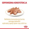 Royal Canin Shih Tzu Adult karma mokra dla psów dorosłych rasy shih tzu saszetka 85g - obrazek 3