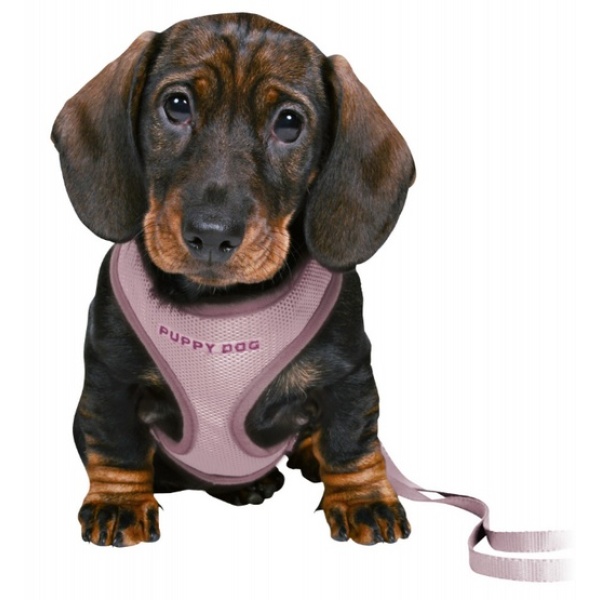 Trixie Szelki ze smyczą Junior 26-34cm liliowe [15564] - obrazek 3