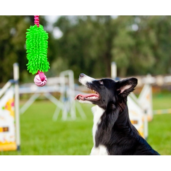 Dingo Zabawka dla psa - Szarpak Mop Bungee z piłką zielony - obrazek 5