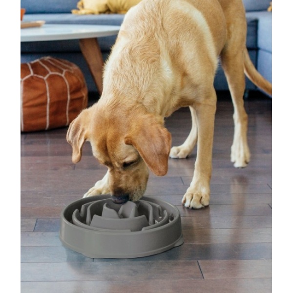 Outward Hound Fun Feeder Miska spowalniająca szara [69892] - obrazek 5
