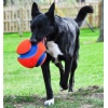 Chuckit! Kick Fetch Small [251101] - obrazek 6