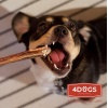 4DOGS Gryzak z penisa wołowego M - obrazek 5