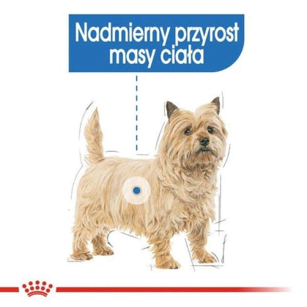 Royal Canin Light Weight Care karma mokra dla psów dorosłych, wszystkich ras z tendencją do nadwagi saszetka 85g - obrazek 3