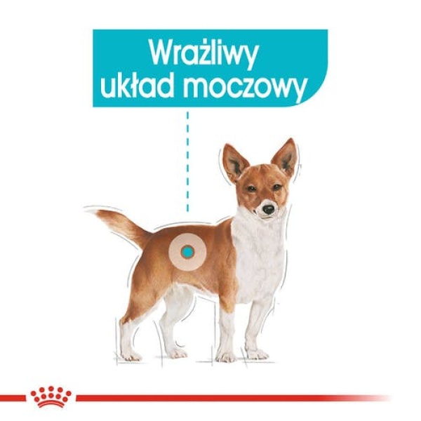 Royal Canin Urinary Care karma mokra dla psów dorosłych, wszystkich ras, wspierająca układ moczowy, pasztet saszetka 85g - obrazek 3