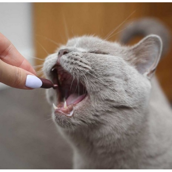 UrinoVet Cat Dilution 45 kapsułek - obrazek 3