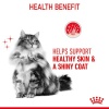 Royal Canin Hair & Skin Care w sosie karma mokra dla kotów dorosłych, zdrowa skóra, piękna sierść saszetka 85g - obrazek 4