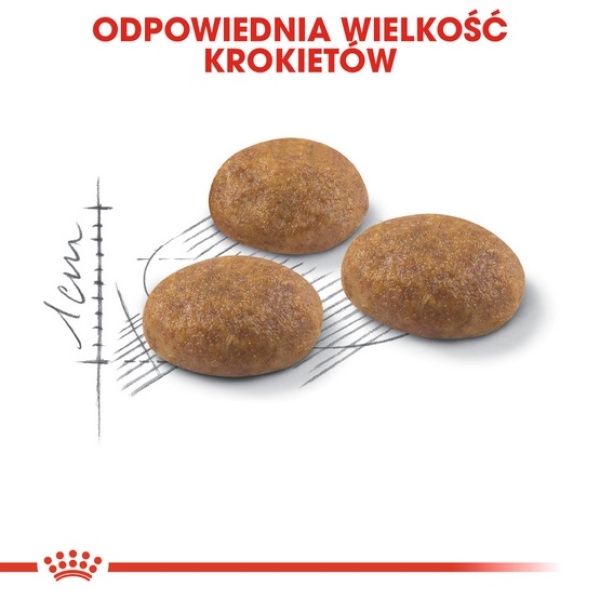 Royal Canin Outdoor karma sucha dla kotów dorosłych, wychodzących na zewnątrz 4kg - obrazek 7