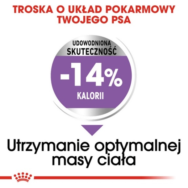 Royal Canin Mini Sterilised karma sucha dla psów dorosłych, ras małych, sterylizowanych 3kg - obrazek 5