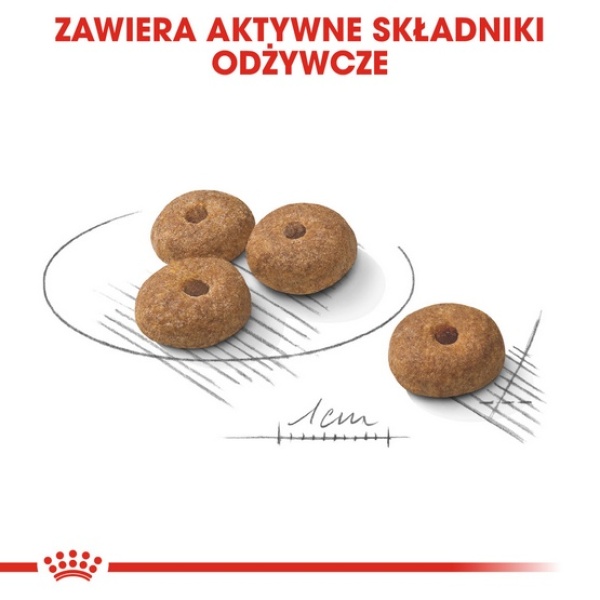 Royal Canin Mini Sterilised karma sucha dla psów dorosłych, ras małych, sterylizowanych 3kg - obrazek 6