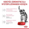 Royal Canin Kitten Sterilised karma mokra w sosie dla kociąt od 6 do 12 miesiąca życia, sterylizowanych saszetka 85g - obrazek 4