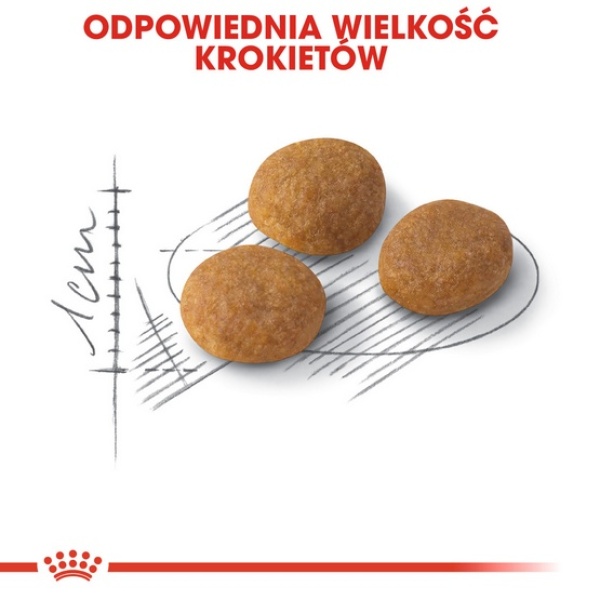 Royal Canin Exigent Aromatic Attraction karma sucha dla kotów dorosłych, wybrednych, kierujących się zapachem 10kg - obrazek 6