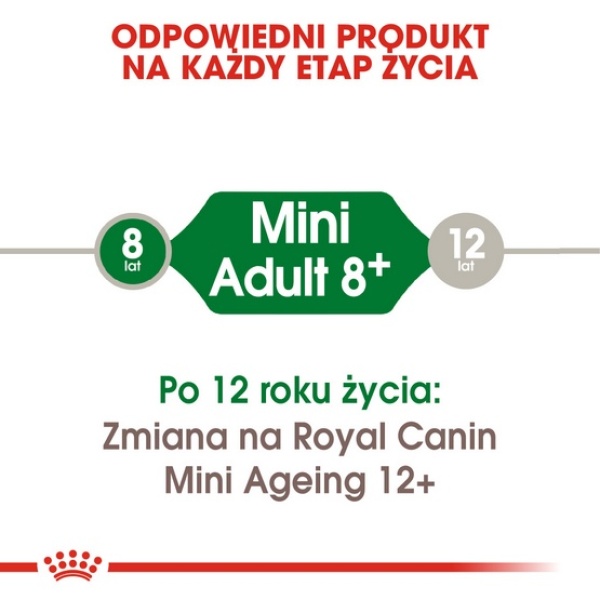 Royal Canin Mini Adult 8+ karma sucha dla psów starszych od 8 do 12 roku życia, ras małych 8kg - obrazek 5