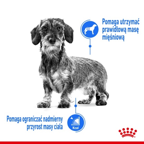 Royal Canin Mini Light Weight Care karma sucha dla psów dorosłych, ras małych z tendencją do nadwagi 3kg - obrazek 4