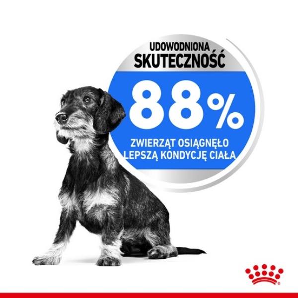 Royal Canin Mini Light Weight Care karma sucha dla psów dorosłych, ras małych z tendencją do nadwagi 3kg - obrazek 5