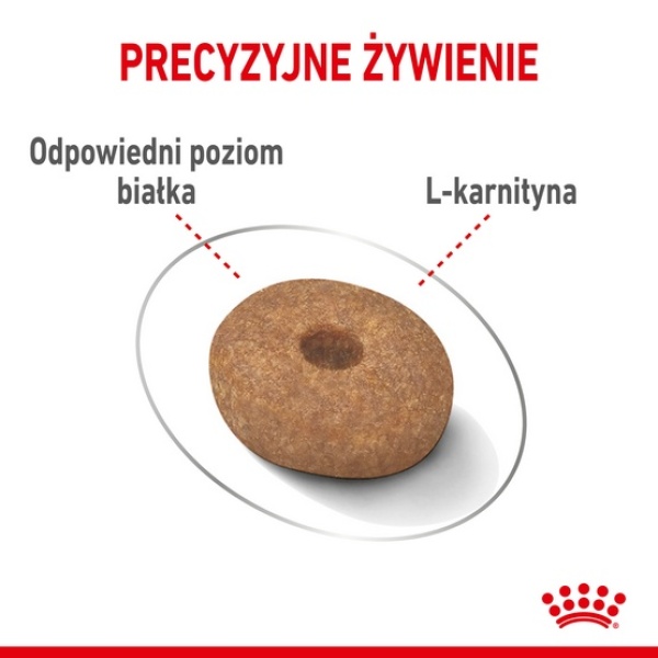 Royal Canin Mini Light Weight Care karma sucha dla psów dorosłych, ras małych z tendencją do nadwagi 3kg - obrazek 6