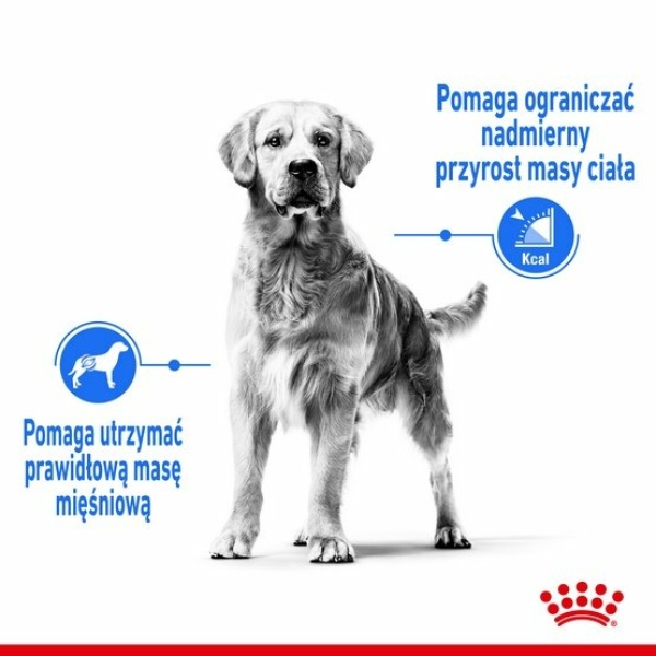 Royal Canin Medium Light Weight Care karma sucha dla psów dorosłych, ras średnich tendencją do nadwagi 12kg - obrazek 3