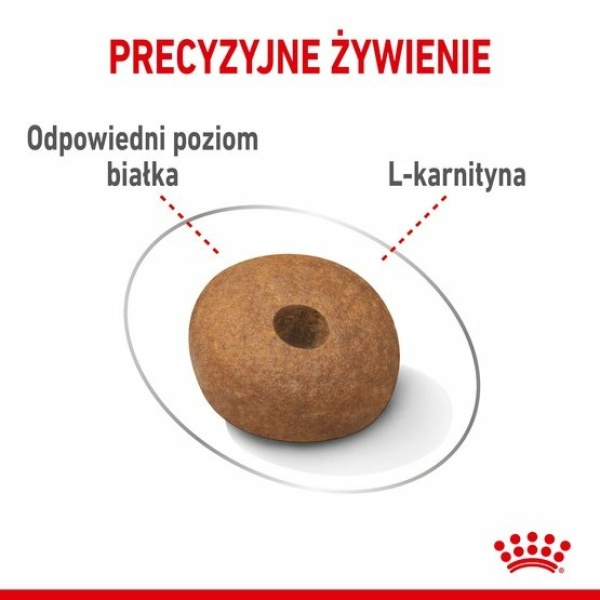 Royal Canin Medium Light Weight Care karma sucha dla psów dorosłych, ras średnich tendencją do nadwagi 12kg - obrazek 5