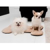 MIMIKO Pets Mata Velvet Form Kość - obrazek 5