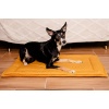 MIMIKO Pets Mata Velvet 100x70cm musztarda - obrazek 4