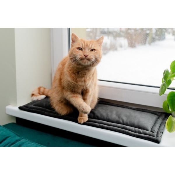 MIMIKO Pets Mata Velvet 25x70cm grafit - obrazek 3
