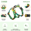 CHABA Szelki Guard Story III L 2,5cm Jumbo - obrazek 4