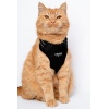 CHABA Szelki Guard Comfort Classic L czarne - obrazek 8